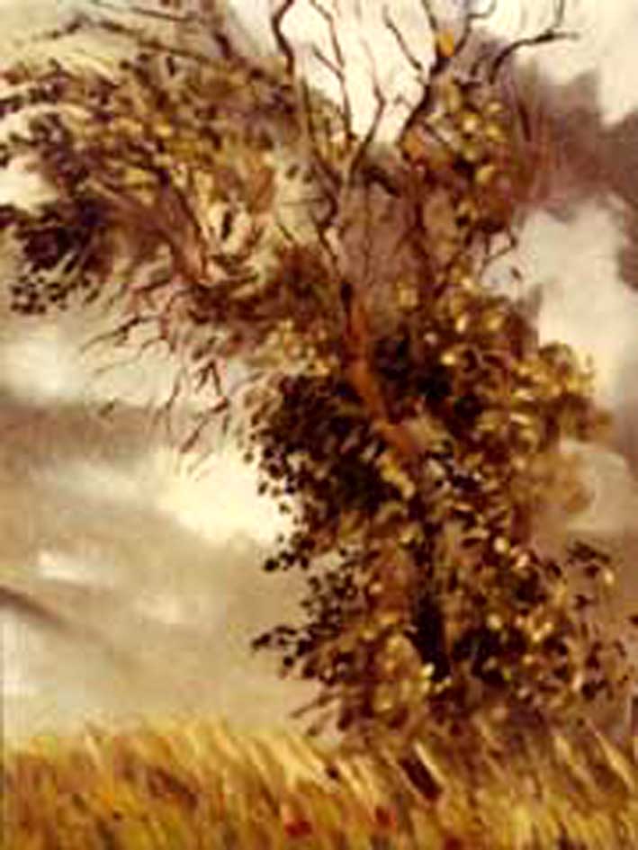 arbre