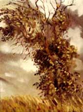 arbre